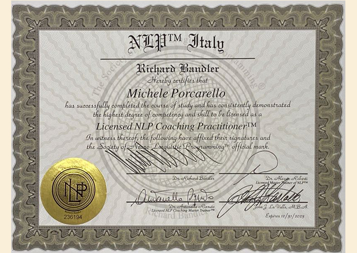 NLP practitioner